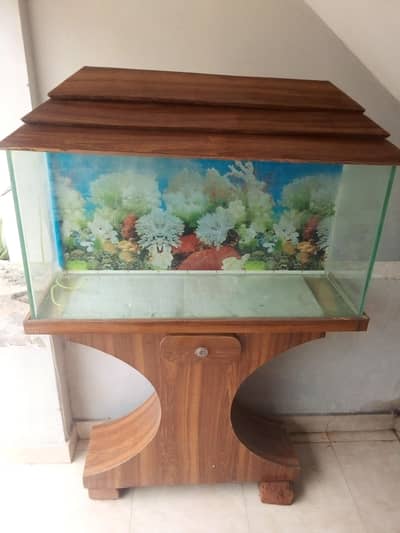 Fish Aquarium