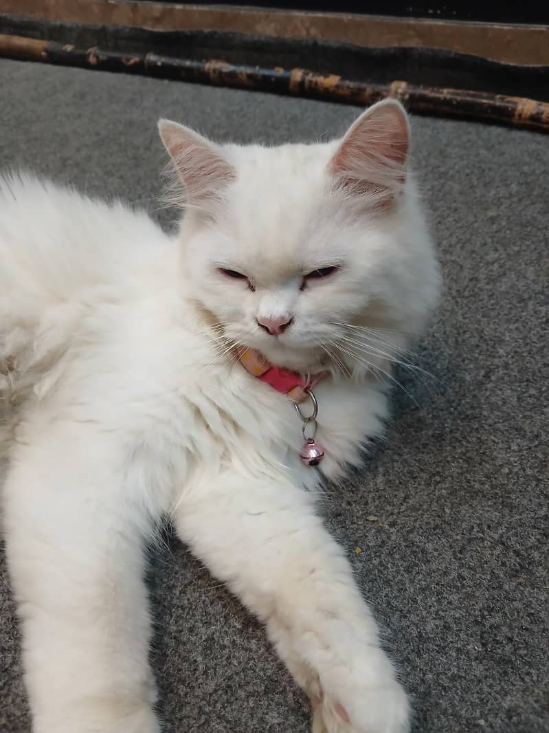 title 5