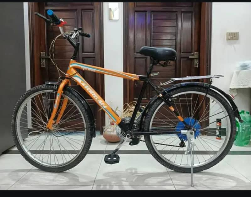 Morgan cycle 1
