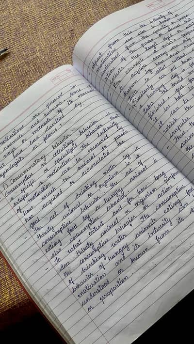Assignment writing