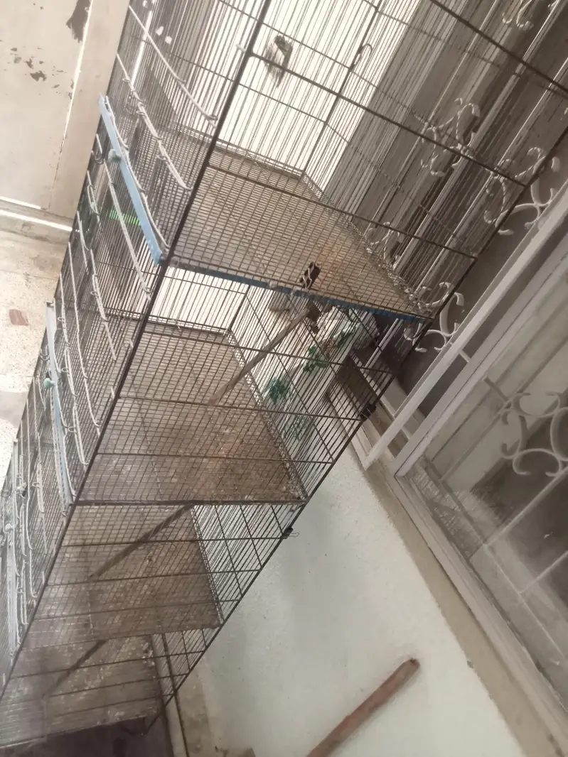 4 portion cage good condition — photo 4