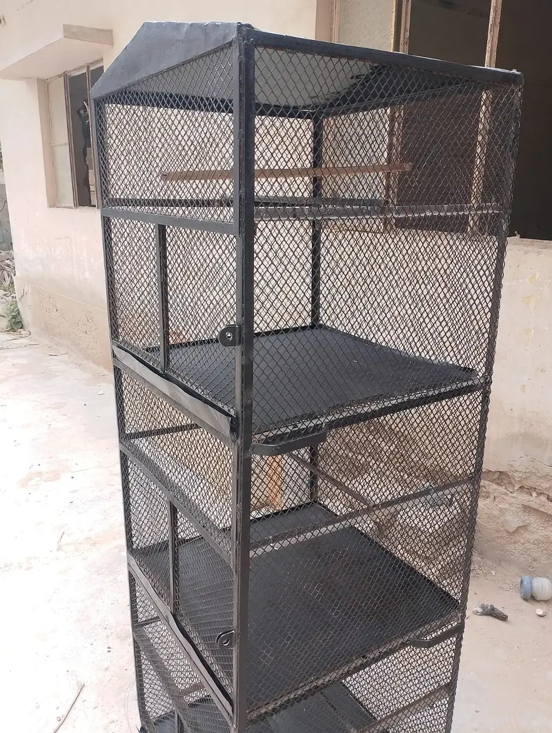 Custom Heavy Duty Iron Bird Cage — photo 4