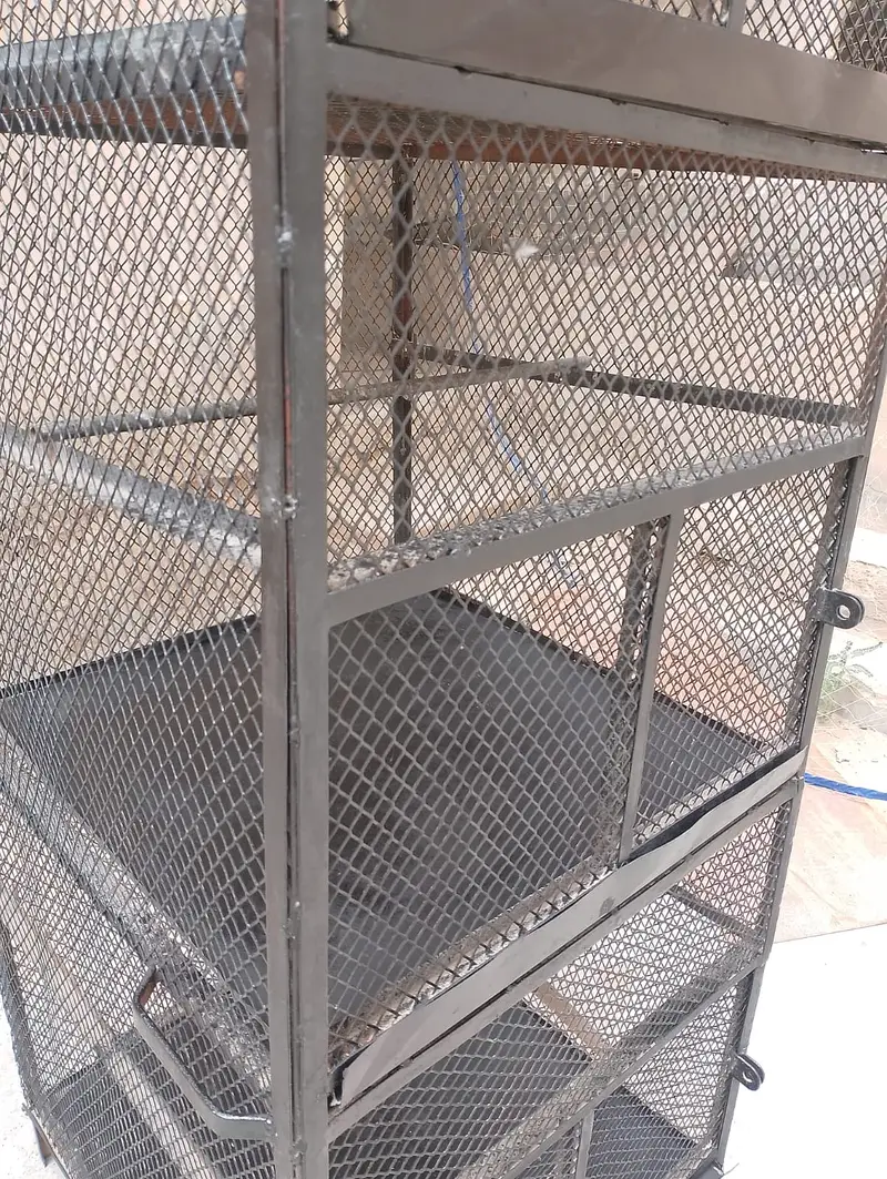 Custom Heavy Duty Iron Bird Cage — photo 5