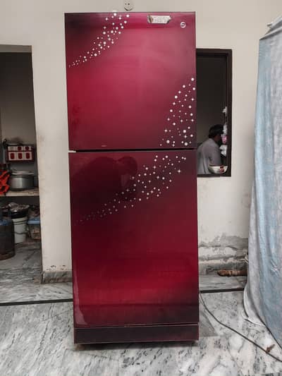 FULL SIZE PEL GLASS DOOR REFRIGERATOR