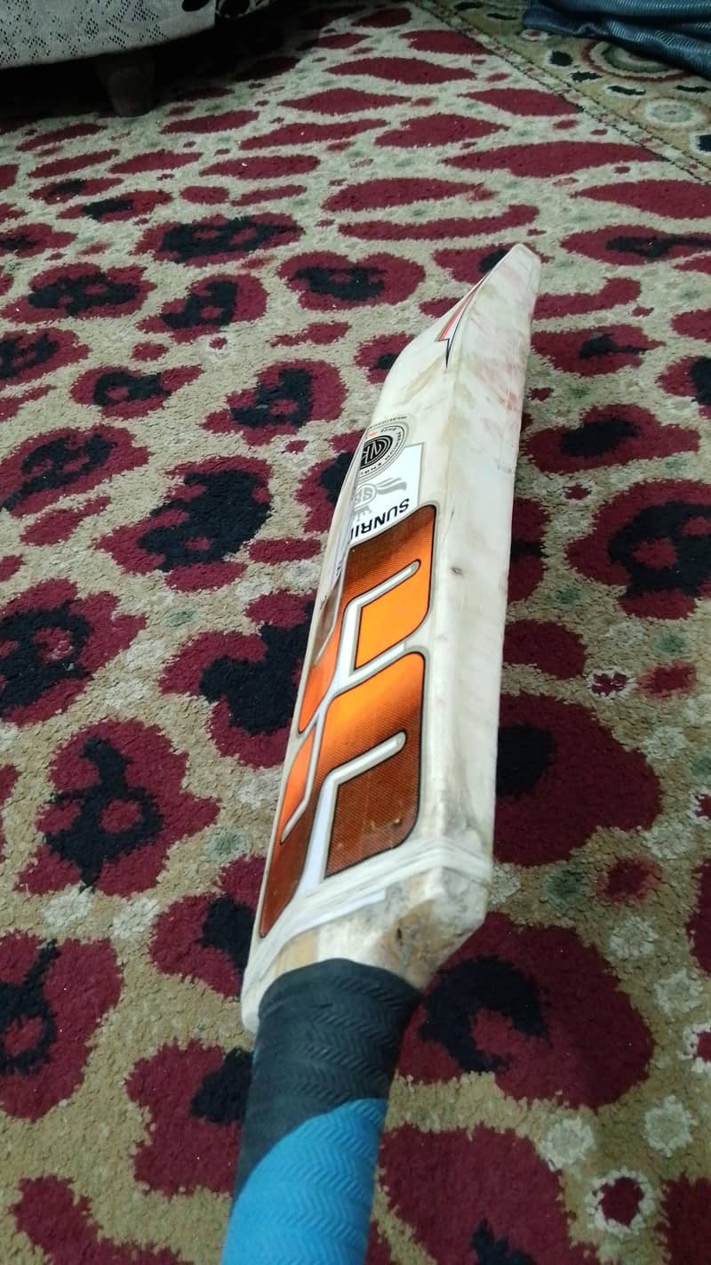 Hard Ball Bat 1