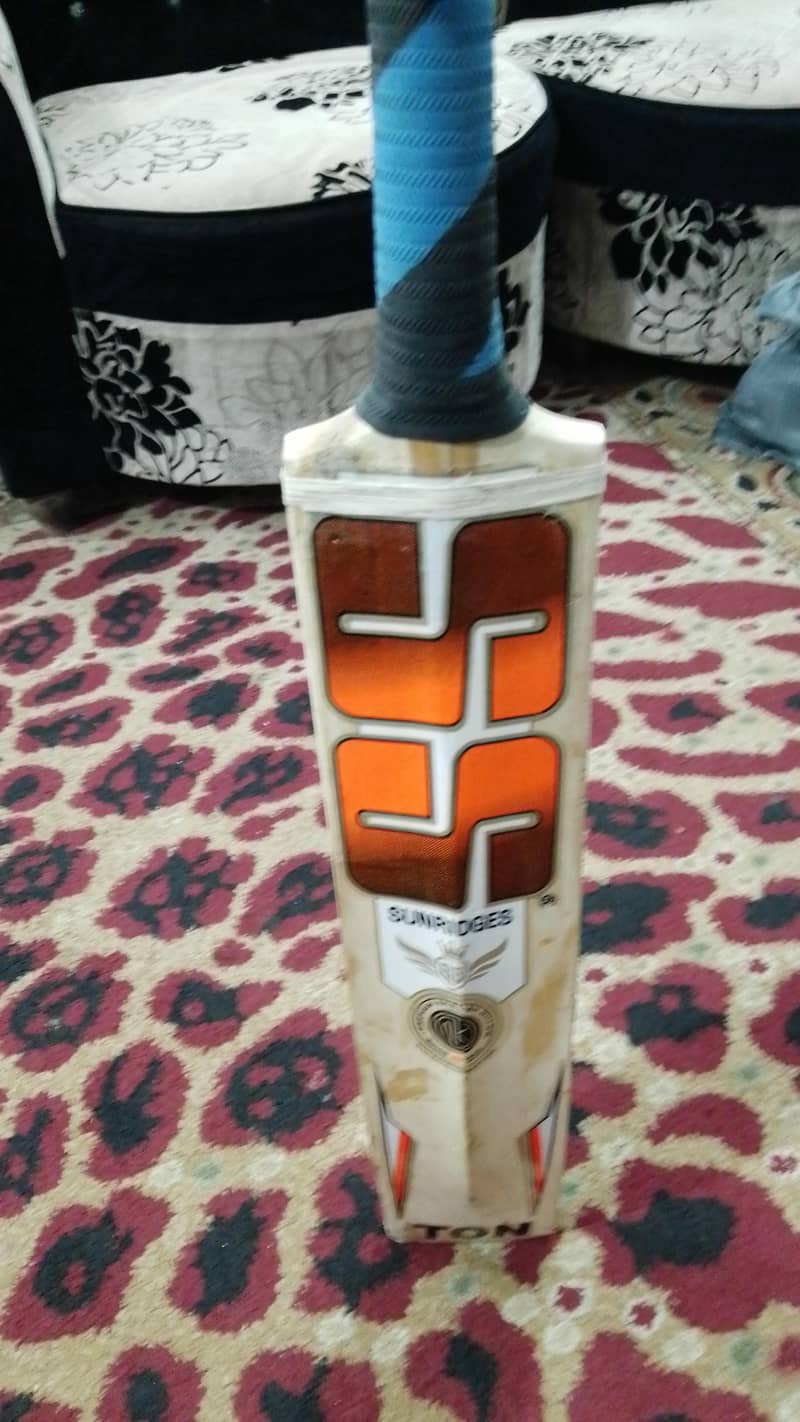 Hard Ball Bat 2
