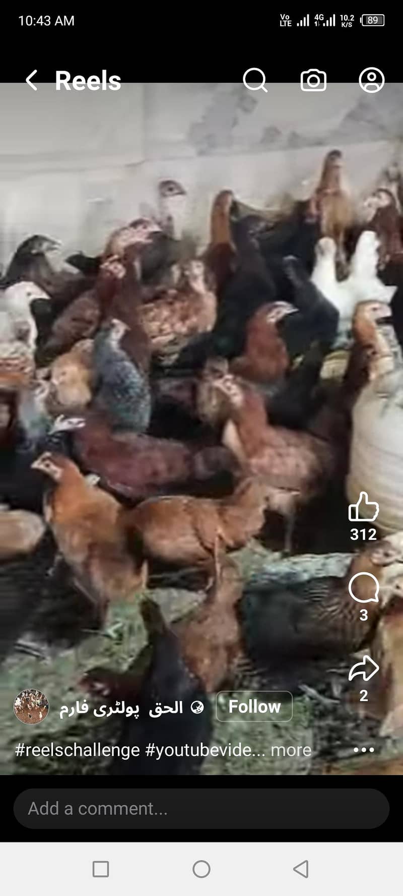 hens ha 1