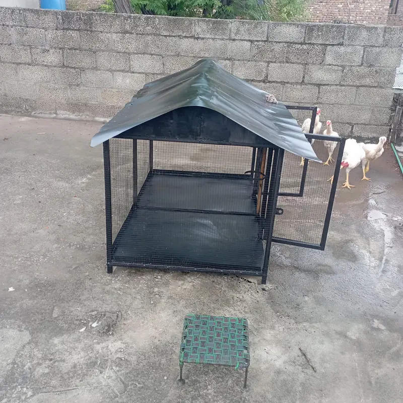 Large Bird Cage 5x3x3.5 Ft | Chicken Poultry Cage — photo 2