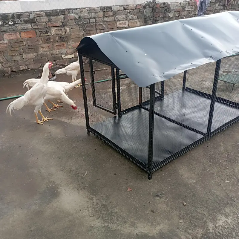 Large Bird Cage 5x3x3.5 Ft | Chicken Poultry Cage — photo 3