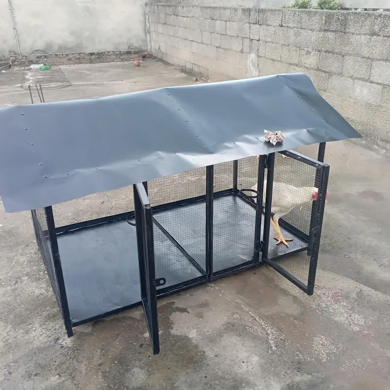 Large Bird Cage 5x3x3.5 Ft | Chicken Poultry Cage — photo 5