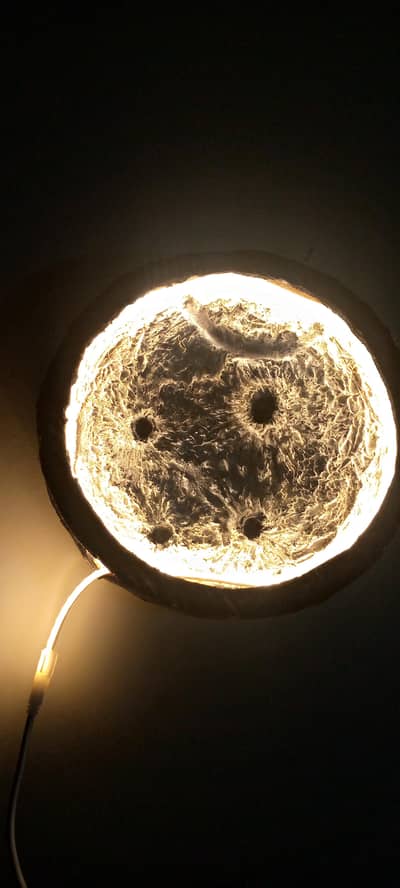 moon light wall