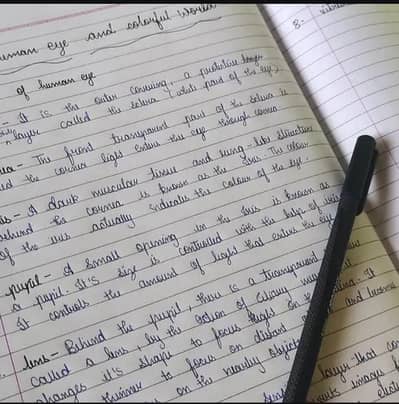 Assignment Writer