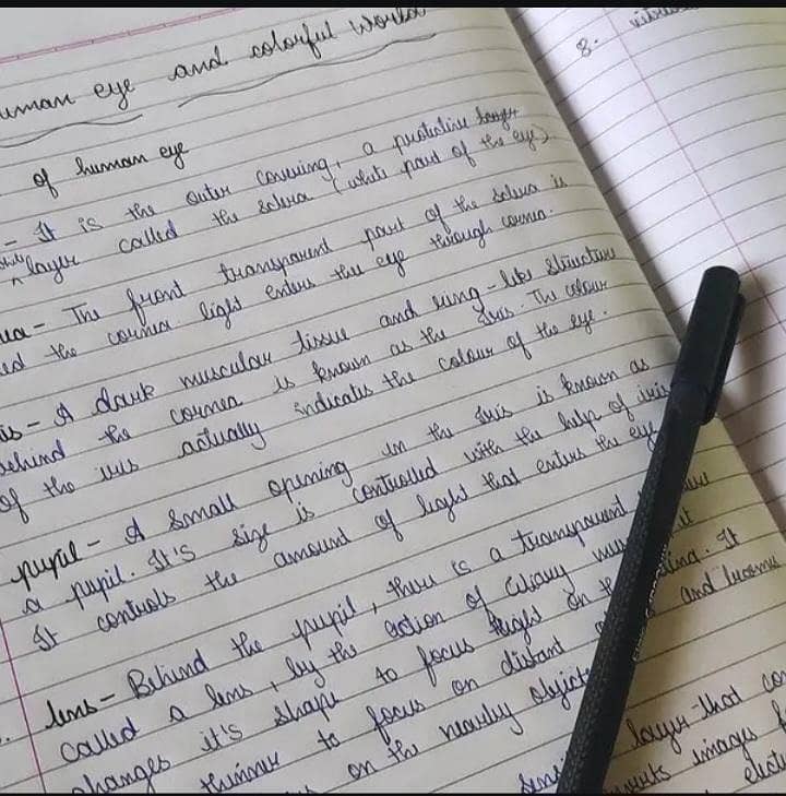 Assignment Writer 0
