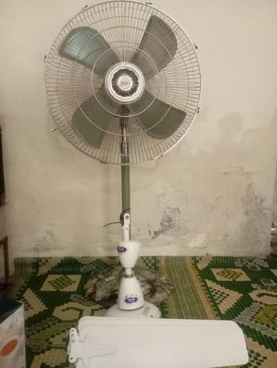 Waqas