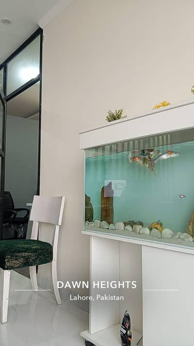 Complete Aquarium Setup for Sale