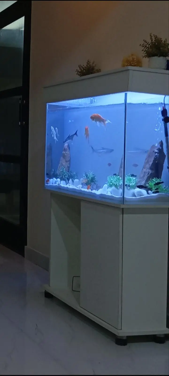 Complete Aquarium Setup for Sale — photo 2