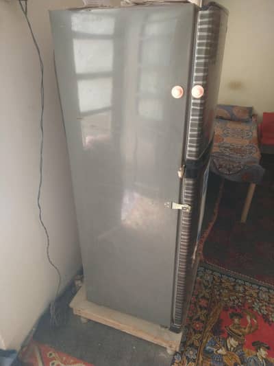 Orient Fridge size 54" Urgently For sale