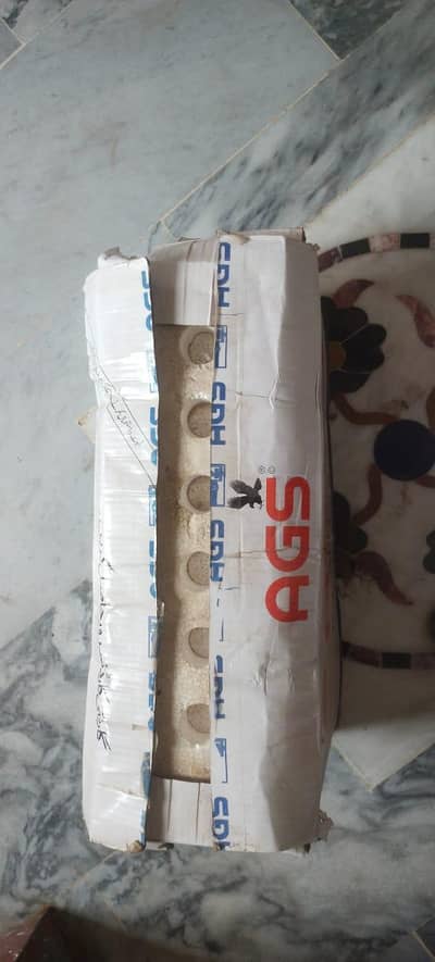 AGS Battery