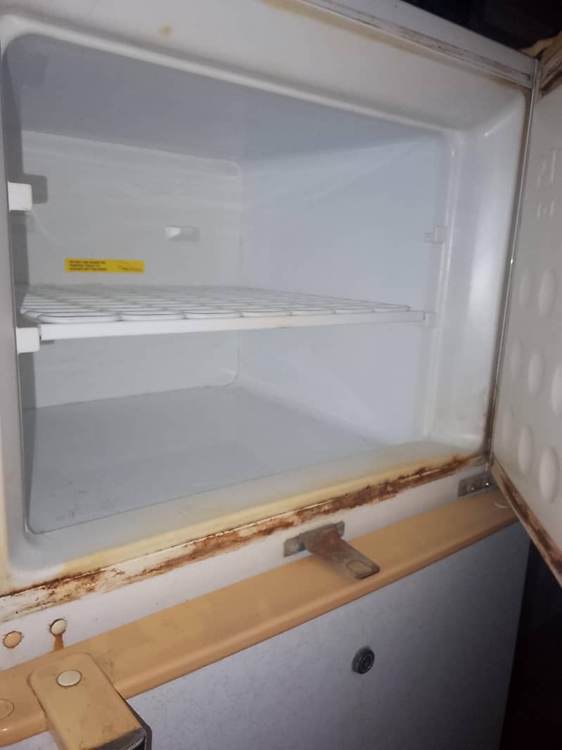 Fridge 3