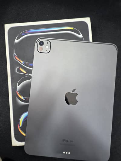 IPAD PRO M4 256GB 89 HEALTH WITH BOX CONDITION ROUGH
