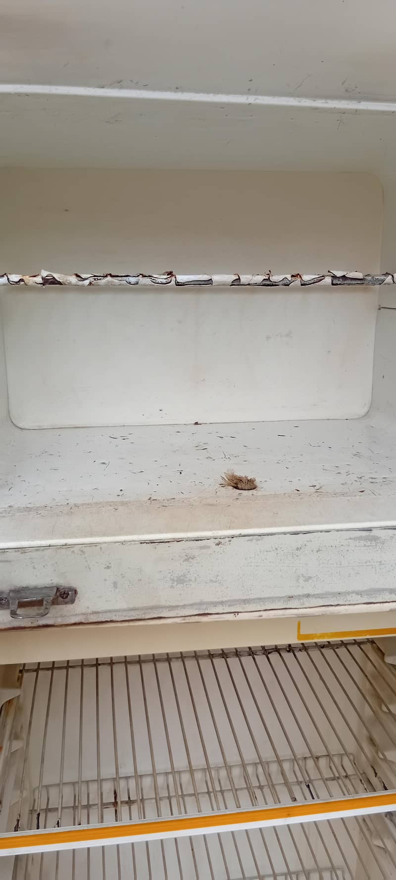 General fridge | working condition 2