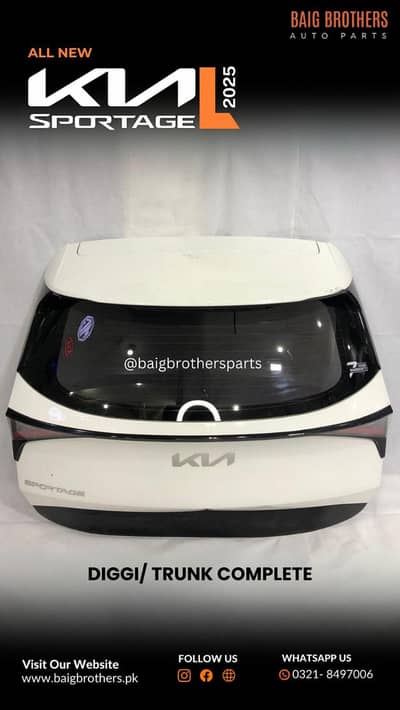 Hyundai Elantra Hybrid 1.6 RS Bumper Show Grill Lower Chrome Drl Door