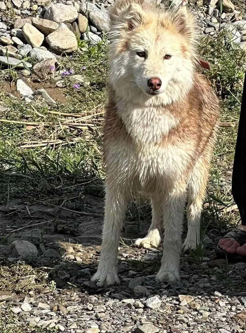 male black female brown — photo 3