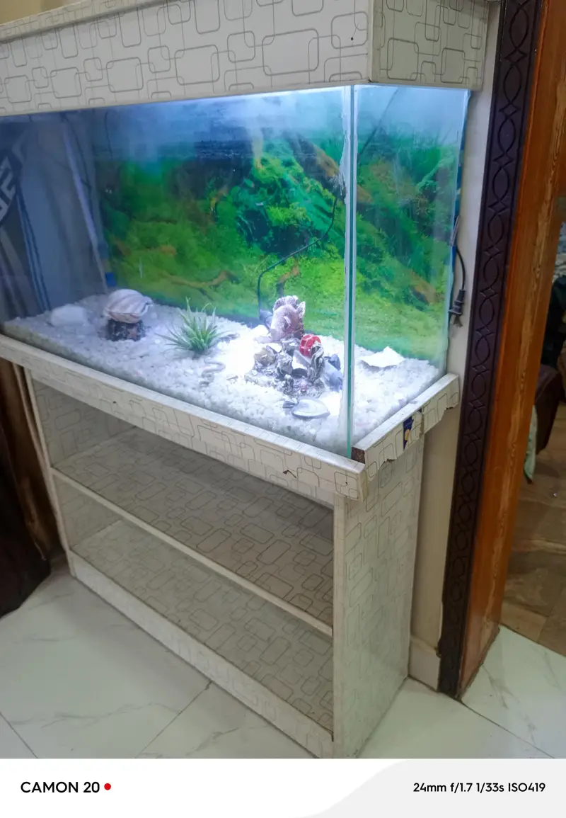 condition 10/10 aquarium — photo 2