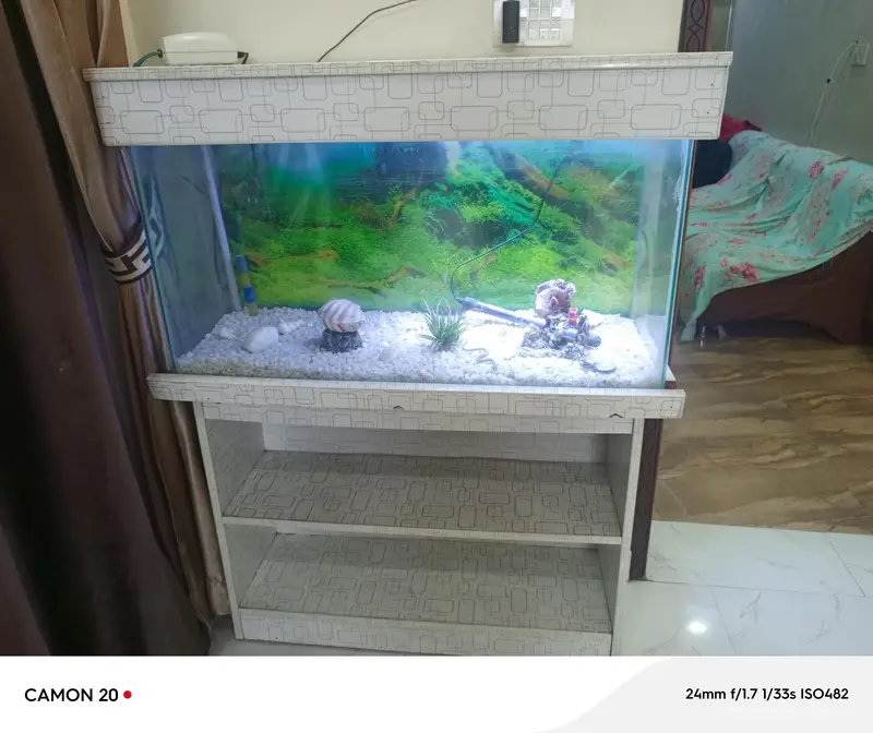 condition 10/10 aquarium — photo 3
