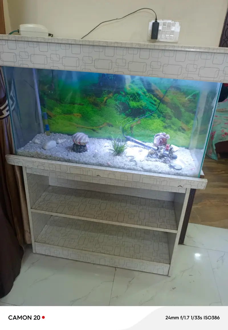 condition 10/10 aquarium — photo 4