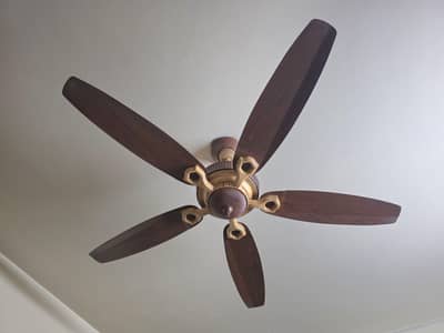 Royal Fan Five Blades