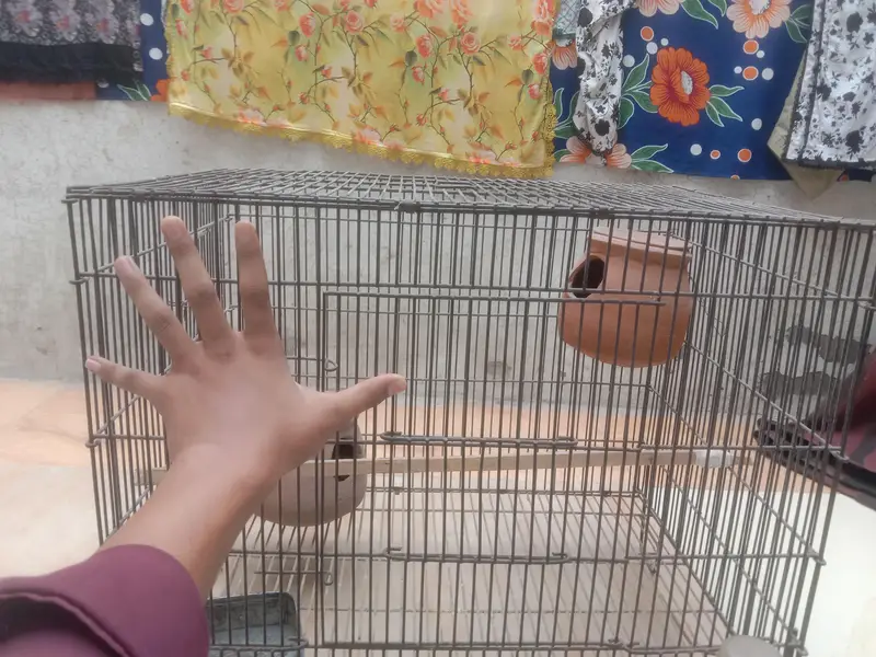 large cage for birds and hen easy for buy — photo 2