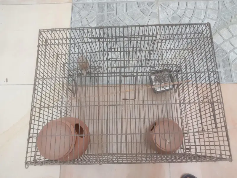 large cage for birds and hen easy for buy — photo 3