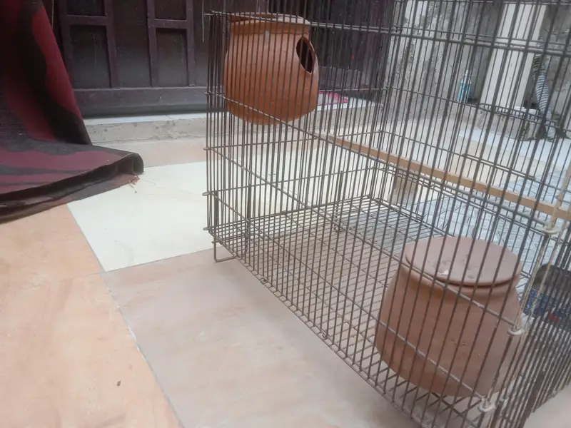 large cage for birds and hen easy for buy — photo 4