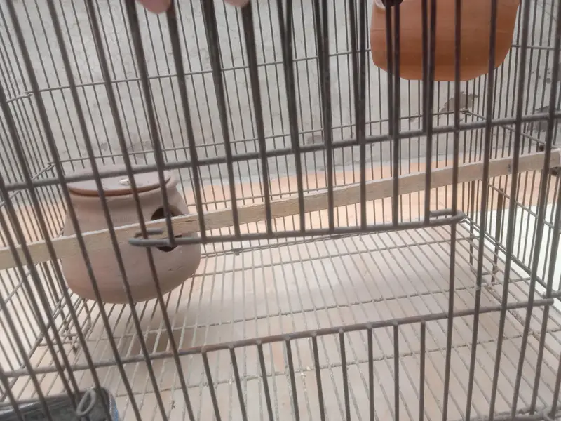 large cage for birds and hen easy for buy — photo 5