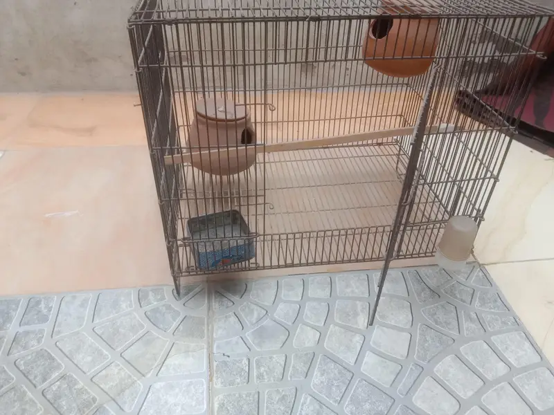 large cage for birds and hen easy for buy — photo 6