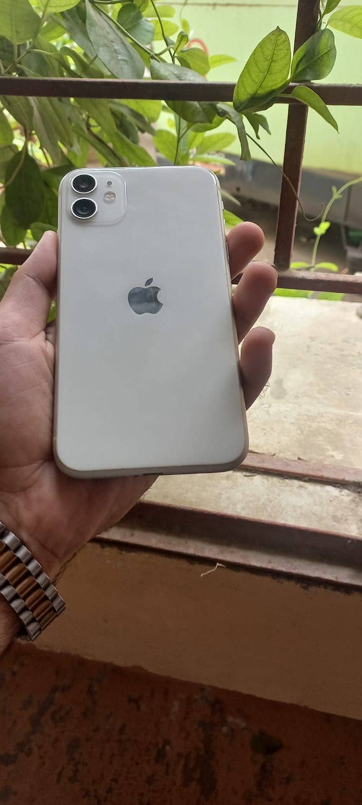Apple iPhone 11 0