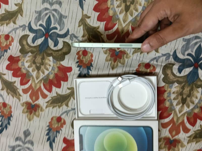 Apple iPhone 12 1