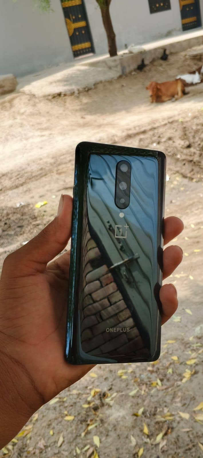 One Plus 8 0