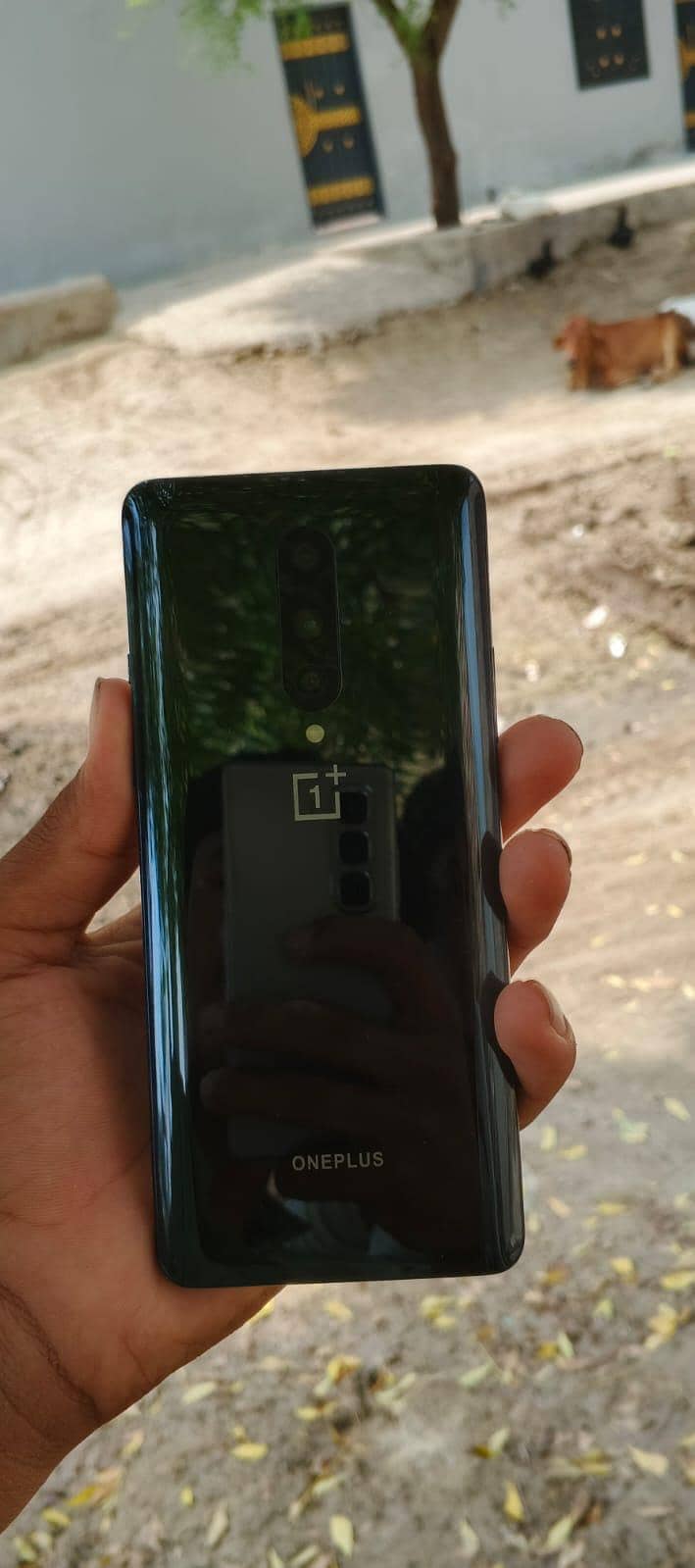 One Plus 8 1