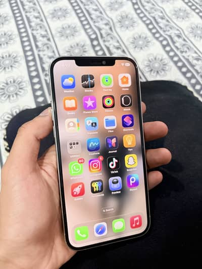 Apple iPhone 12 Pro Max