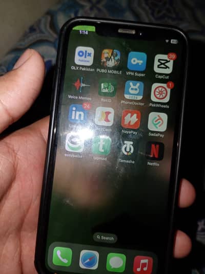 Apple iPhone X