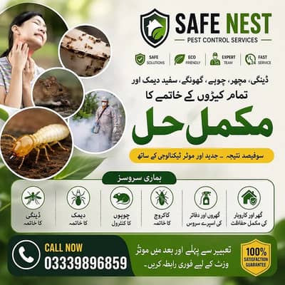 Complete Pest Control Solutions for a Safe & Healthy Home