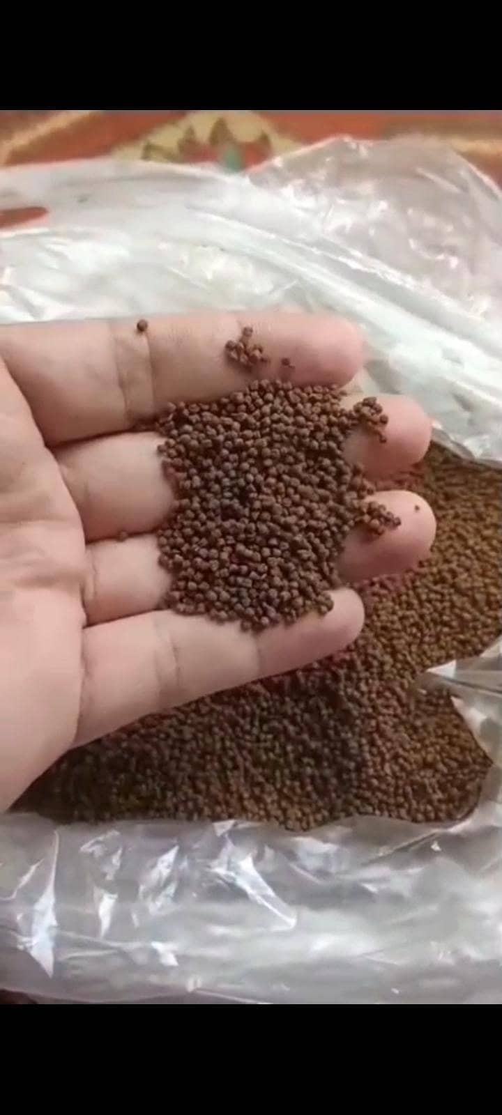 High Protine Fish Feed 3