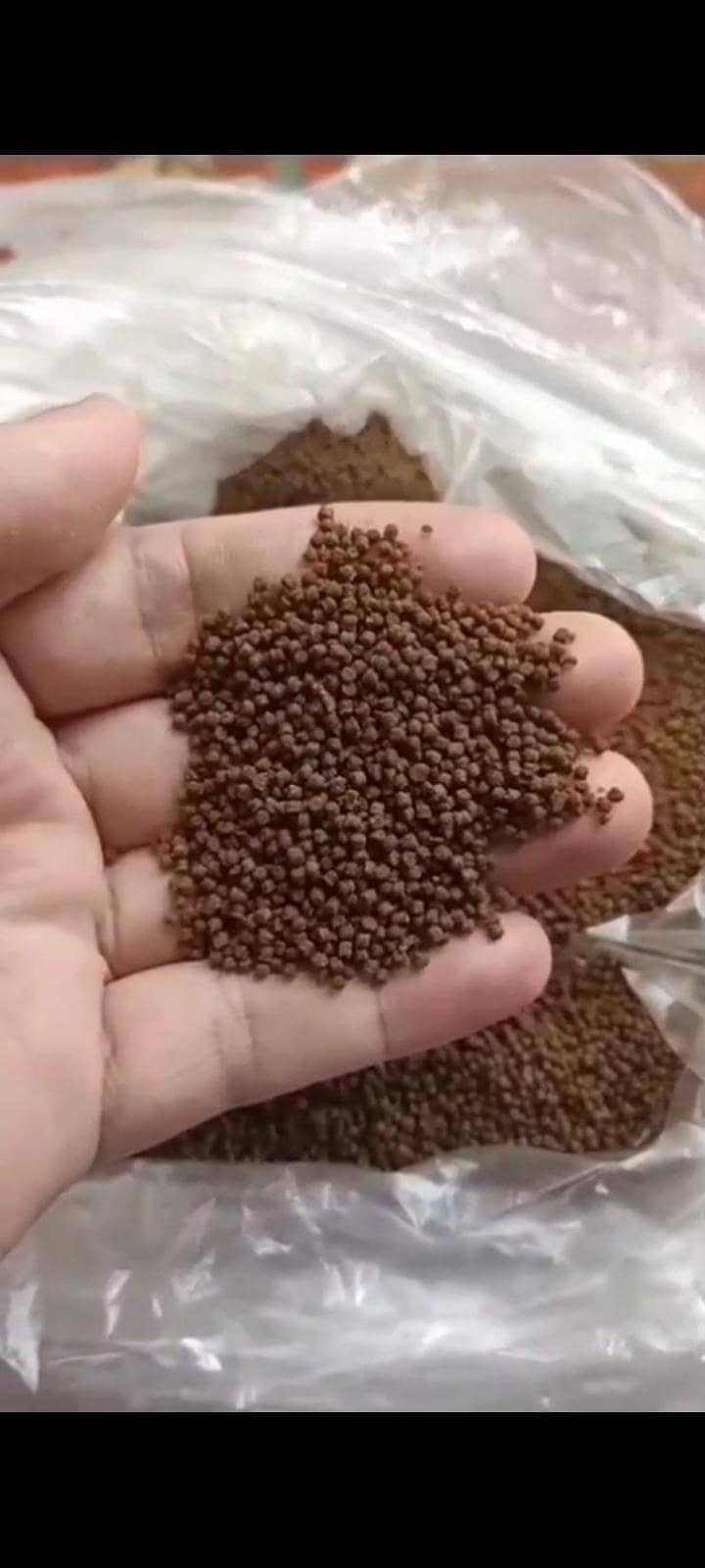 High Protine Fish Feed 4