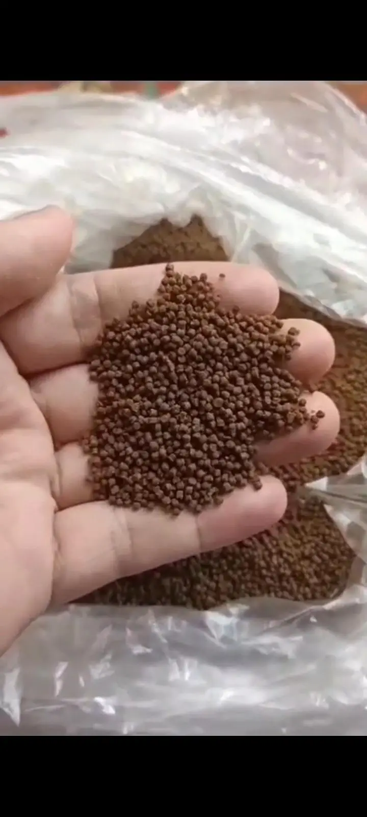 High Protine Fish Feed — photo 5