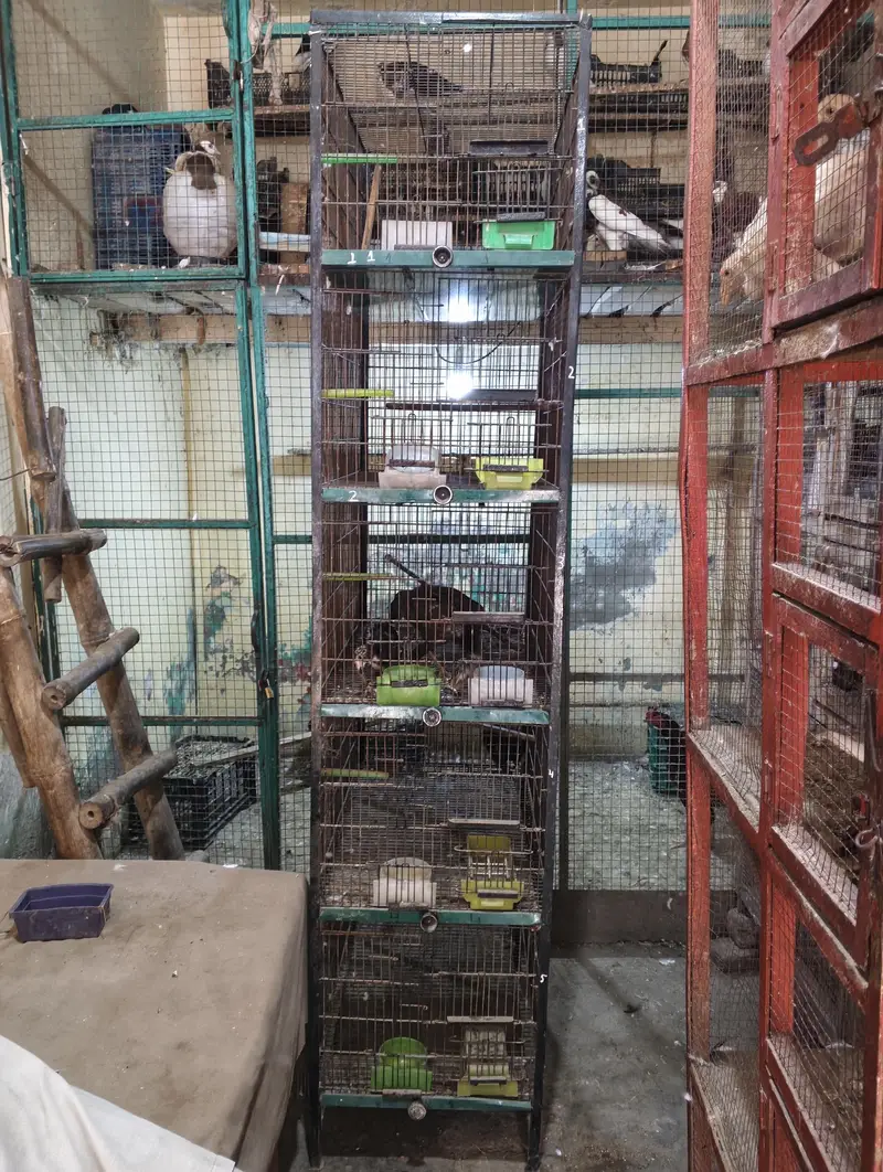 good condition — photo 2