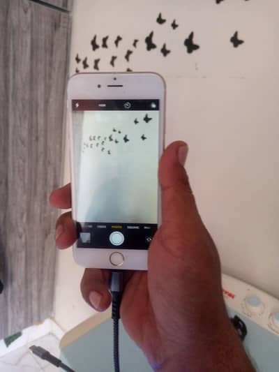 Apple iPhone 6