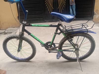 phoenix cycle 20 size