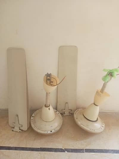 GFC celling fans 02 x fans 9000